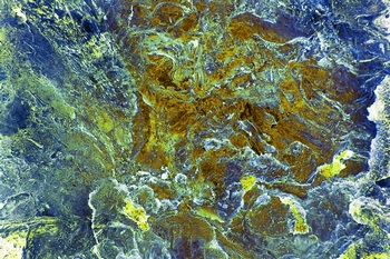 A 247B